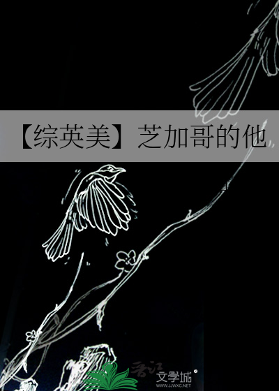 芝加哥系列美剧