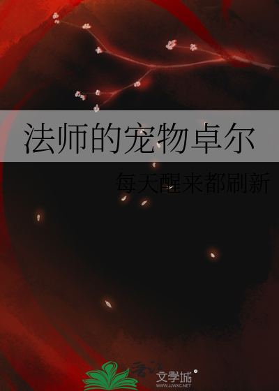 法师宠物怎么弄