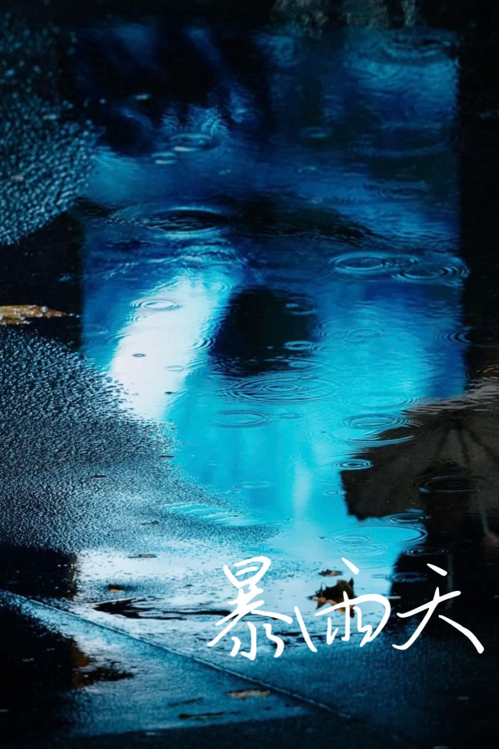 暴雨天出门要注意什么