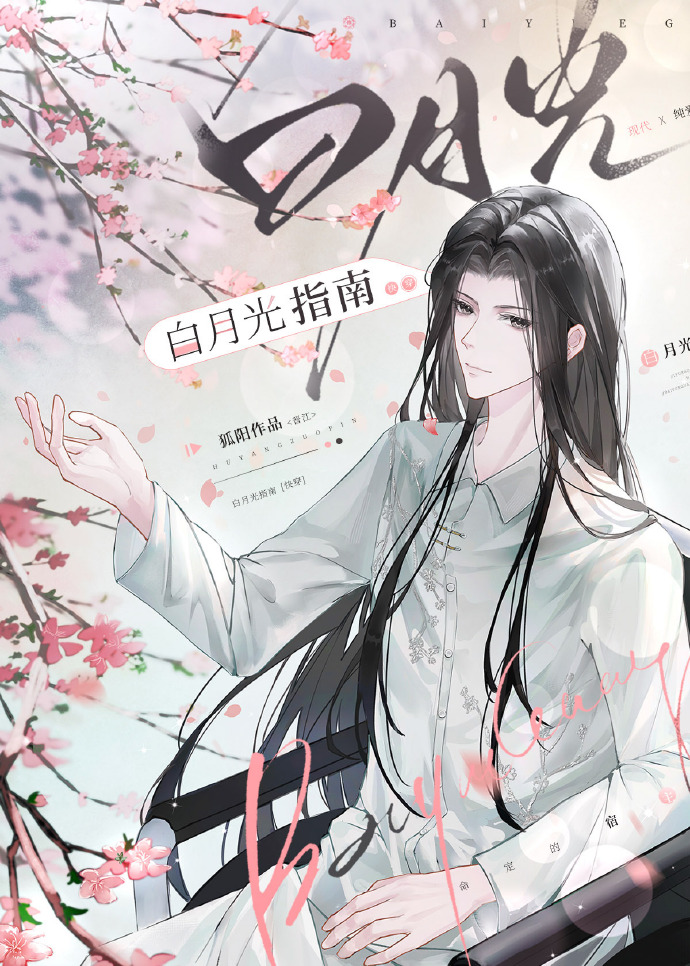 白月光指南快穿也