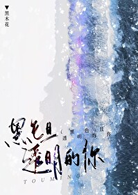 透明的你歌词表达什么感情呢
