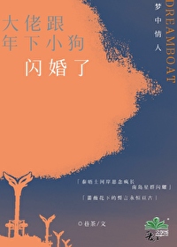 与大佬闪婚以后小说下载