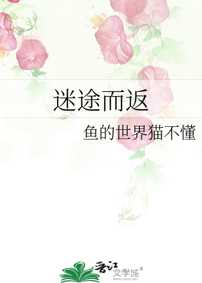 迷途而返小说在线阅读