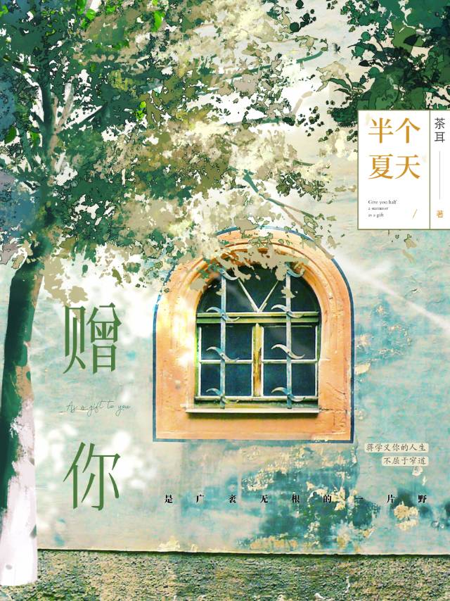 赠你半个夏天百度网盘