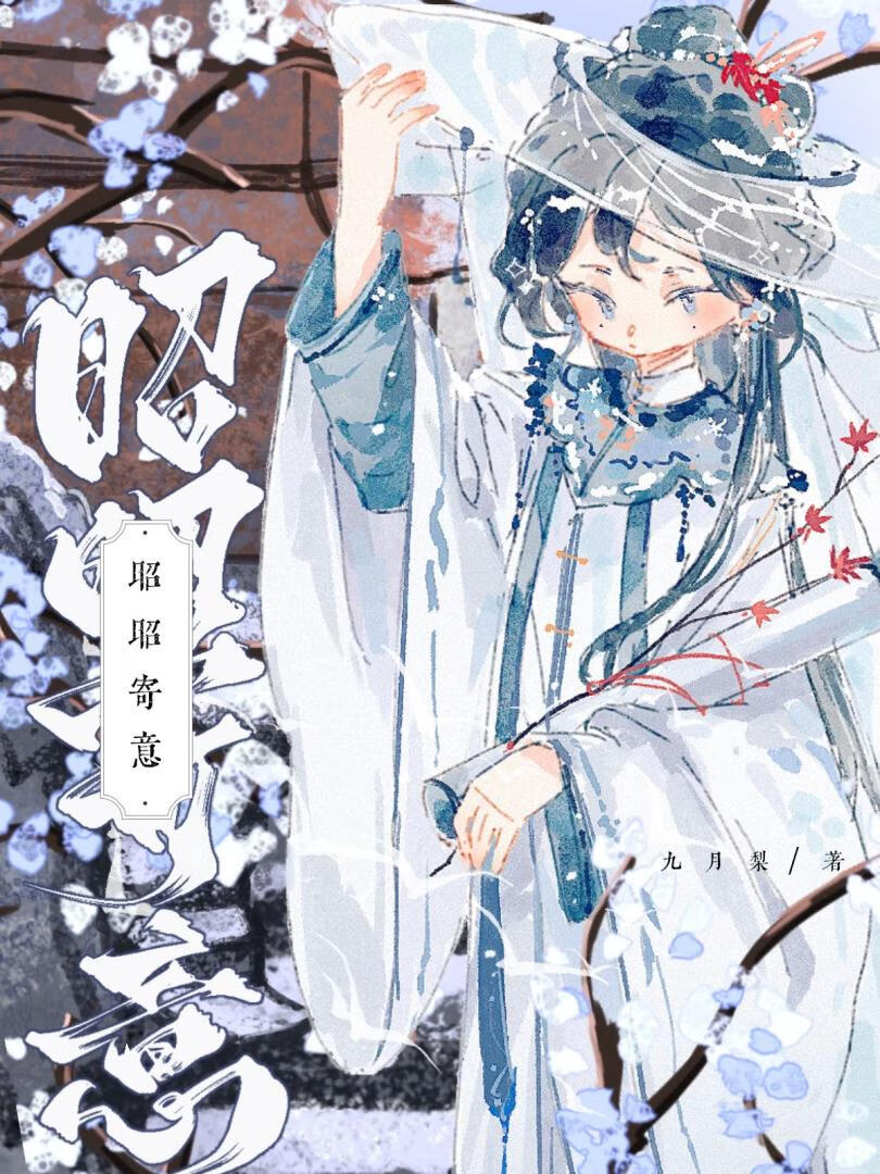 昭昭之意
