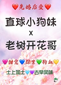 夫君他总是想和离 小说