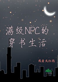 女主穿成满级npc的小说