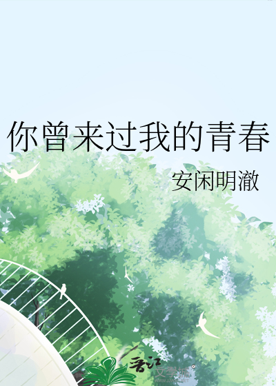 你曾来过我的青春