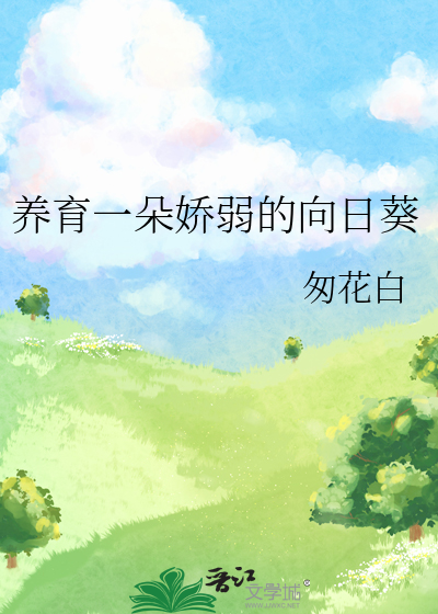养育一朵娇弱的向日葵