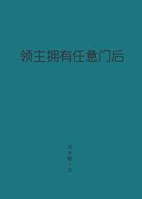 领主拥有任意门后